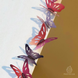Шпатель Метелик 6см для шоколадного декору від Франка Хаазнута (Martellato)