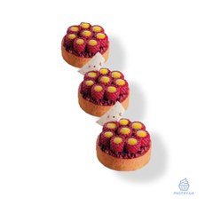 Форма Малина Scarlet Mini TOP23 для десертів силіконова (Pavoni)